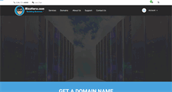 Desktop Screenshot of bizzhero.com